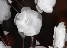 Vellum Flower Arrangement