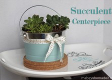 Succulent Centerpiece